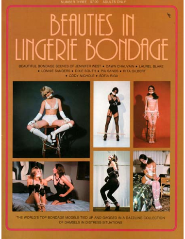 Beauties in Lingerie Bondage No.3