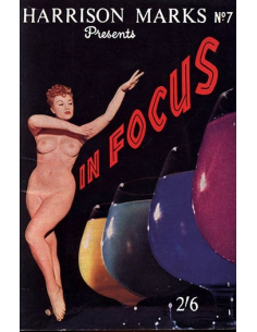 In Focus  No.7