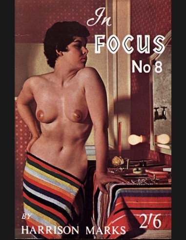 In Focus  No.8