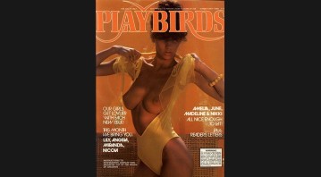 Playbirds No.43