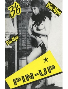 Pin Up No.6