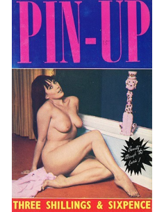 Pin Up No.14