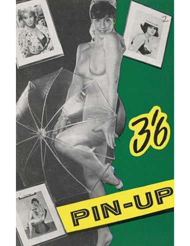 Pin Up No.15