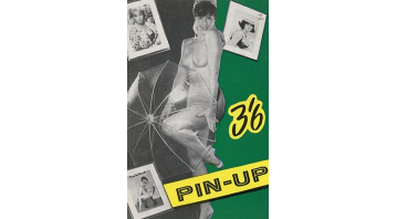 Pin Up No.15