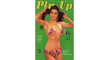 Pin Up No.38