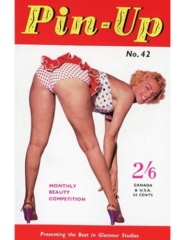 Pin Up No.42