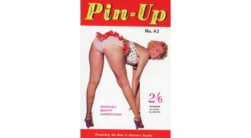 Pin Up No.42