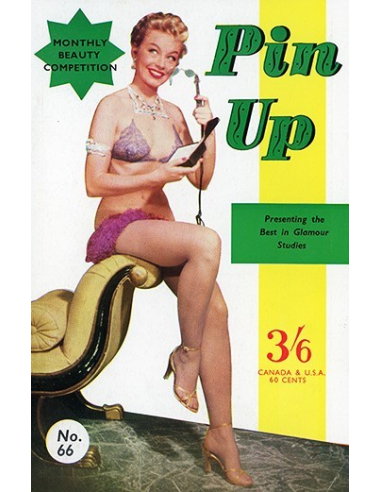 Pin Up No.66