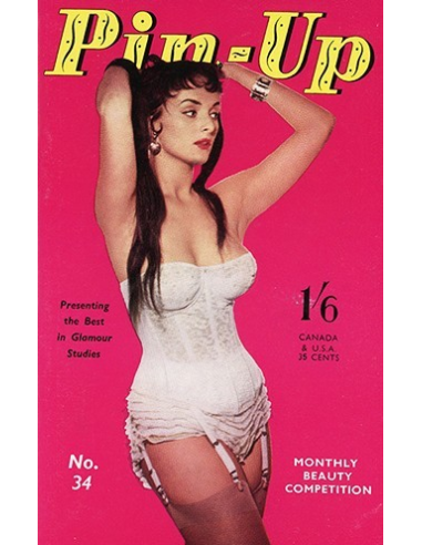 Pin Up No.34