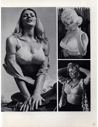 Bra Babes Vol 1 No.01