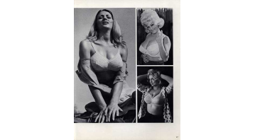 Bra Babes Vol 1 No.01