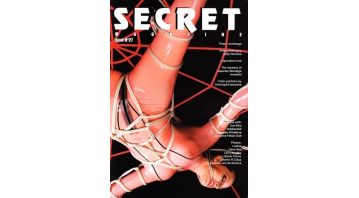 Secret Issue 27