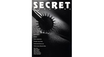 Secret Issue 32