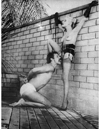 Domination & Discipline Vol.7 No.3