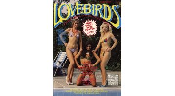 Lovebirds No.80