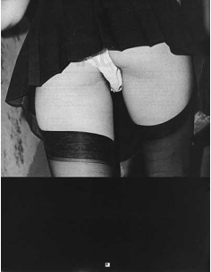 Janus Vol.4 No.02 2