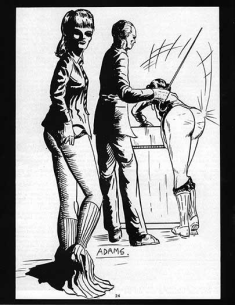 Janus Vol.4 No.03 (b) 2