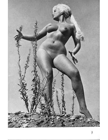 Solo No.20 Pamela Green (d)