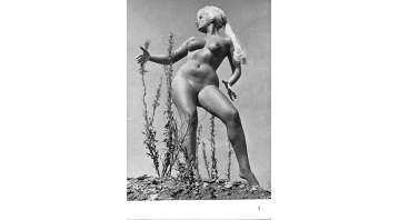 Solo No.20 Pamela Green (d)