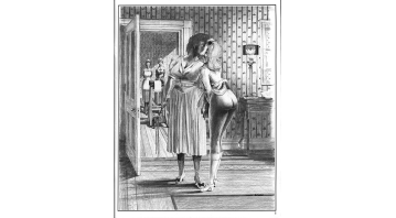 Phoenix Hans Braun Special Phoenix Hans Braun Special