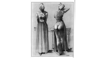 Phoenix Hans Braun Special Phoenix Hans Braun Special