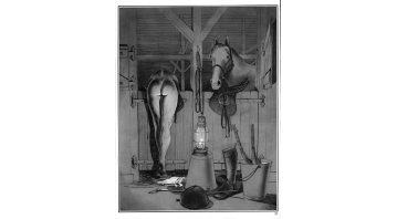 Phoenix Hans Braun Special Phoenix Hans Braun Special