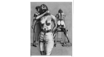 Phoenix Hans Braun Special Phoenix Hans Braun Special