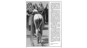 Phoenix Hans Braun Special Phoenix Hans Braun Special