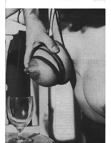 Peaches Pocket-size No.23