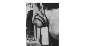 Peaches Pocket-size No.23