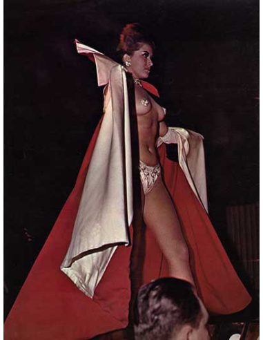 Striparama Vol.2 No.12