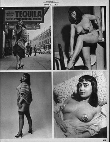 Striparama Vol.2 No.5