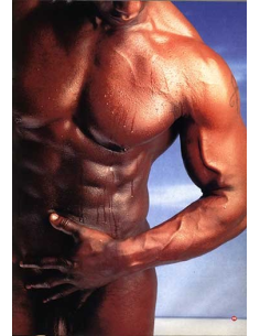 Zipper No.11 © RamBooks 2