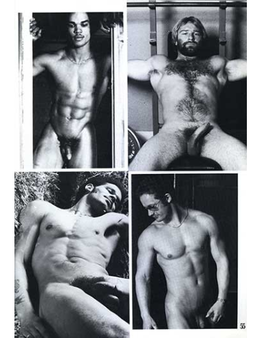 The Best of Zipper Vol.01 © RamBooks