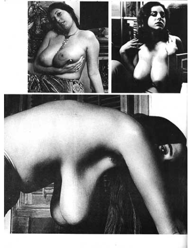 Wow! Vol.1 No.02 © RamBooks