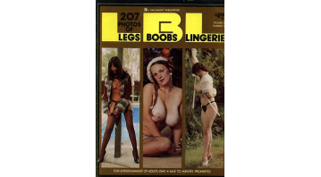Legs. Boobs. Lingerie. Vol.3 No.2 © RamBooks