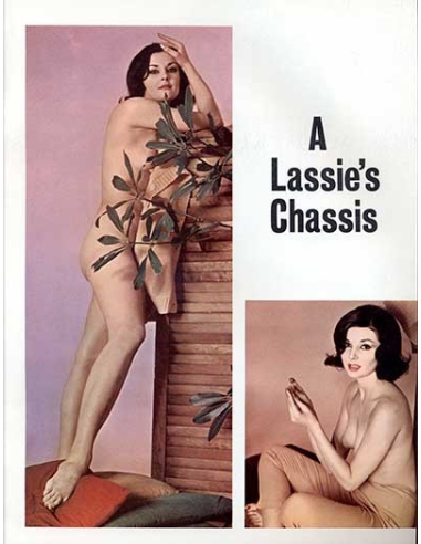 Caper Vol.10 No.01 © RamBooks