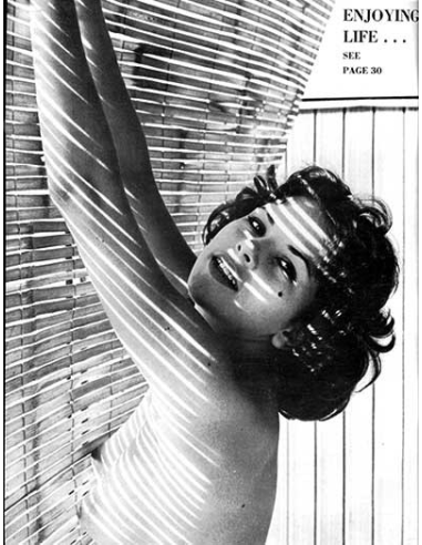 Gentleman Vol.01 No.06