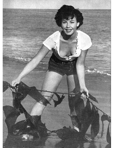 Gentleman No.01 © RamBooks