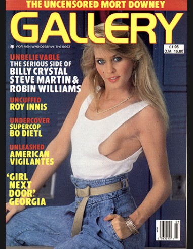 Gallery Vol.17 No.03 1988