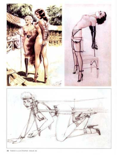 Taboo Illustrated Vol.09 © RamBooks 2