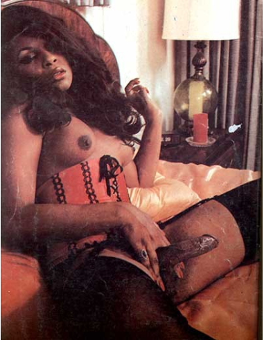 Transsexual Vol.01 no.03 © RamBooks