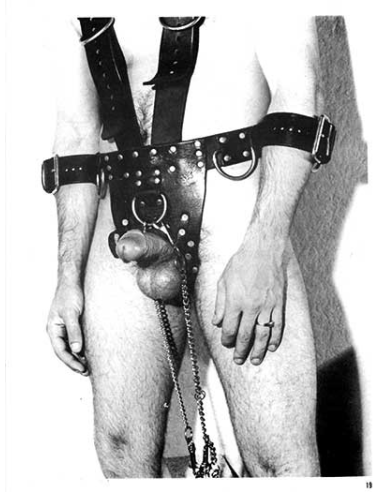 Savaged Studs Vol.01 No.01