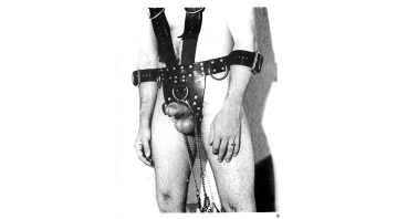 Savaged Studs Vol.01 No.01