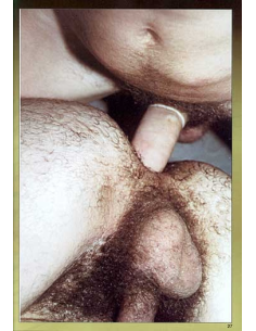 Voltage No.09 © RamBooks 2