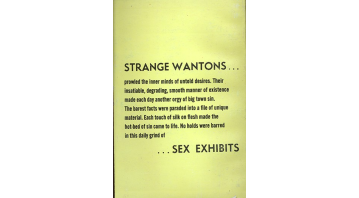 Flesh Witch by Dan Postman