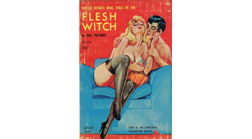 Flesh Witch by Dan Postman