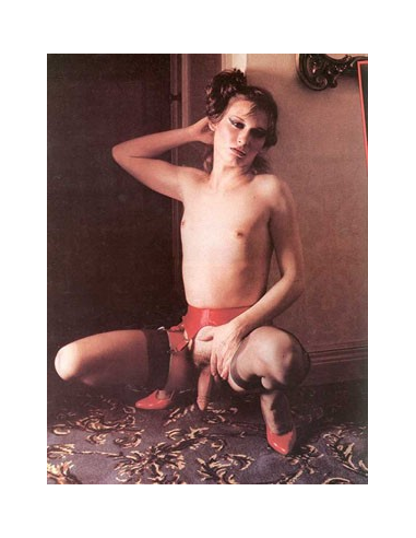 Torrid TV's Vol.03 No.02 © RamBooks