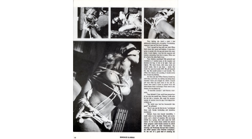 Bondage Classics No.18 © RamBooks