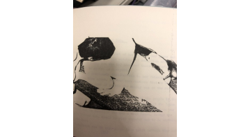 Domination! - Original Soho Typescript